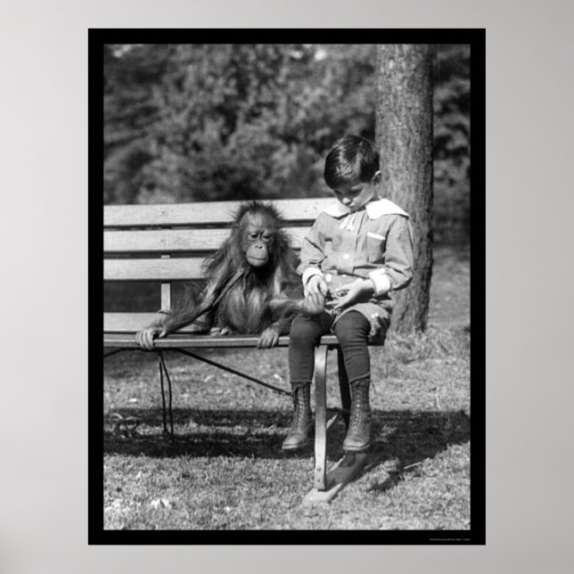 Orangutan und Junge im Park 1920 Poster (Vorne)