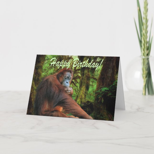 Orangutan und Regenwald Geburtskarte Karte (Vorderseite)