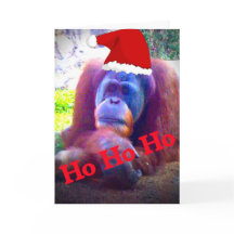 Orangutan Weihnachtskarten