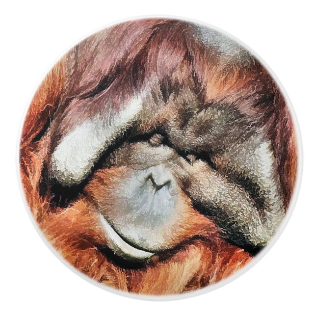 ORANGUTANS KERAMIKKNAUF (Vorderseite)