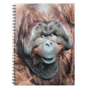 ORANGUTANS NOTIZBLOCK
