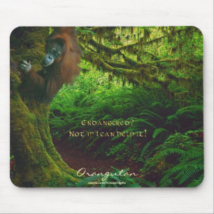 Orangutans & Regenwald Naturschutz Mousepad