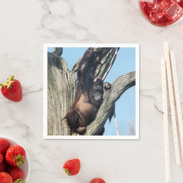 ORANGUTANS SERVIETTE (Beispiel)