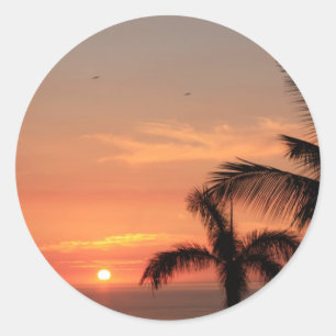 Oranhawaiianischer Sonnenuntergang, Vögel und Pal Runder Aufkleber