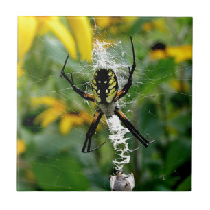 Orb Spider im Web Fliese