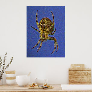 Orb Spider Poster