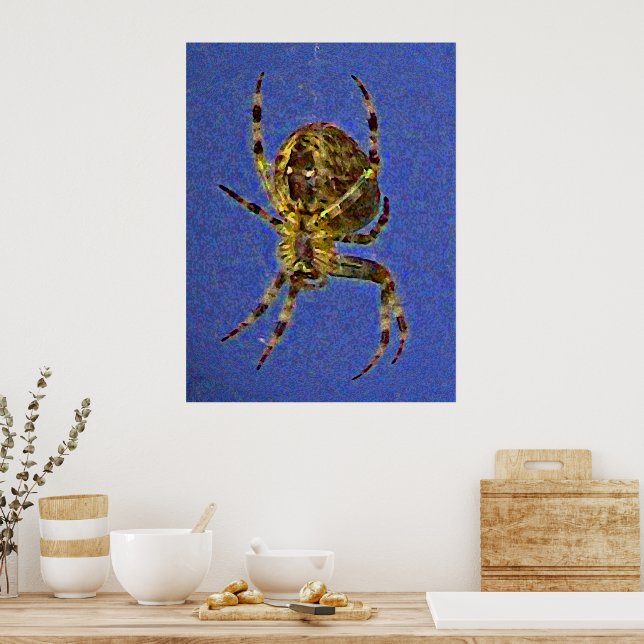Orb Spider Poster (Küche)