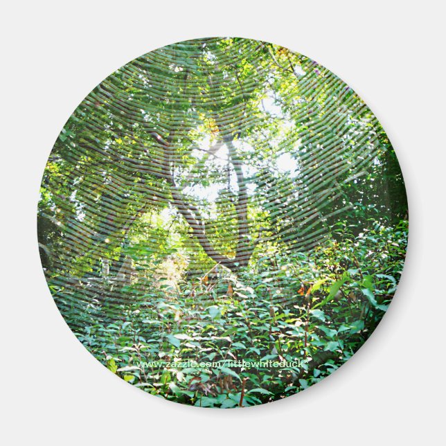 Orb Spider Web - Magnet (Vorne)