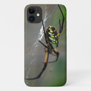 Orb Weaver Spider Nah up Phone Case