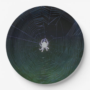 Orb Weaver Spider Paper Plate Pappteller