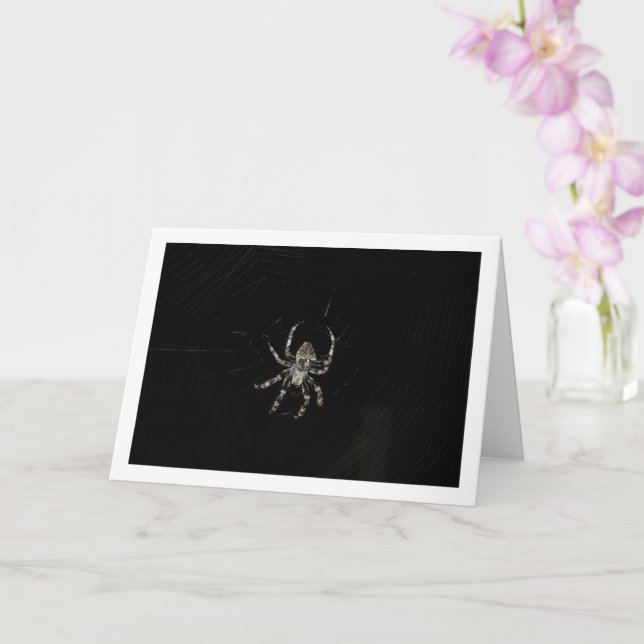 Orbflederspinne Karte (Orchidee)