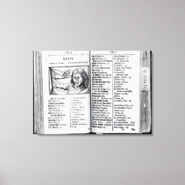 'Orbis Sensualium Pictus' Leinwanddruck (Vorderseite)