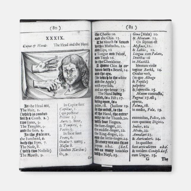 'Orbis Sensualium Pictus' Magnet (Vorne)