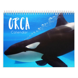 Orca 2023 Kalender lustige und niedliche Orcas
