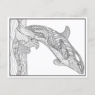 Orca Black and White Postcard Postkarte