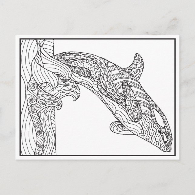 Orca Black and White Postcard Postkarte (Vorderseite)