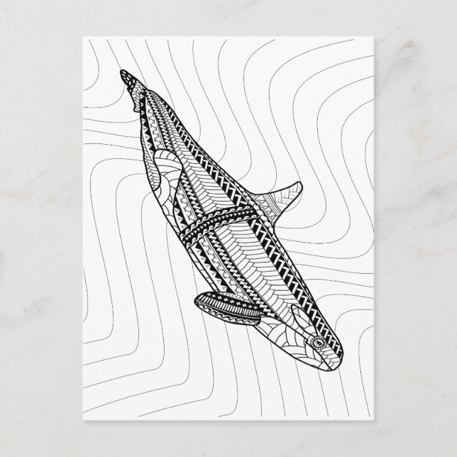 Orca Erwachsene Farbgebung Postkarte (Vorderseite)