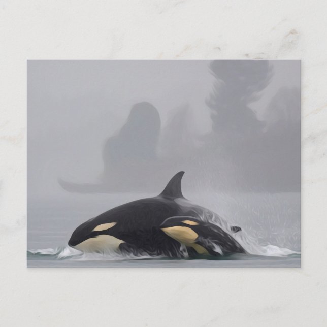 Orca Family Postkarte (Vorderseite)