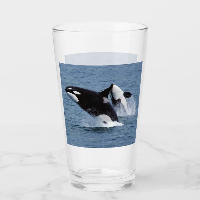 Orca Glas (Vorderseite)