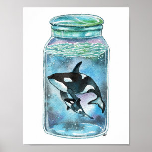 Orca im Jar Poster