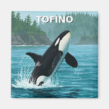 Orca in Tofino Kanada Reisen