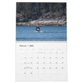 Orca-Kalender 2022 Kalender