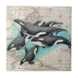 Orca-Kartenatlas Fliese