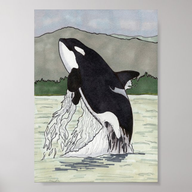 Orca / Killer Whale 5x7 Poster (Vorne)