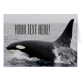 Orca Killer Whale Balayage Surface Texte Personnal
