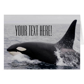 Orca Killer Whale Balayage Surface Texte Personnal