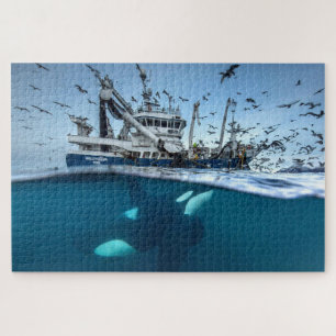 Orca Killer Whale Kommerzielle Fischerboote