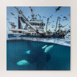 Orca Killer Whale Kommerzielle Fischerboote