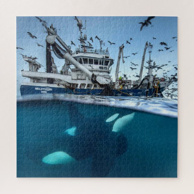 Orca Killer Whale Kommerzielle Fischerboote (Vertikal)