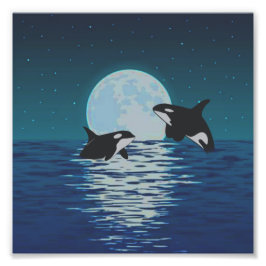 Orca Killer Whale Moonlight Fotodruck