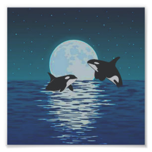 Orca Killer Whale Moonlight Fotodruck