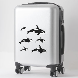 Orca Killer Whale Set Aufkleber