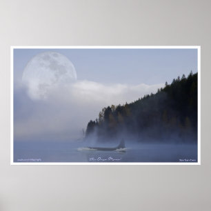 Orca Killer Whale & Super Moon Wildlife Poster