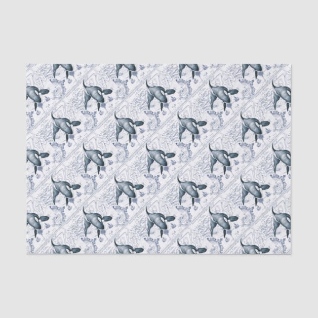 Orca Map Blue Seidenpapier (Vorderseite)