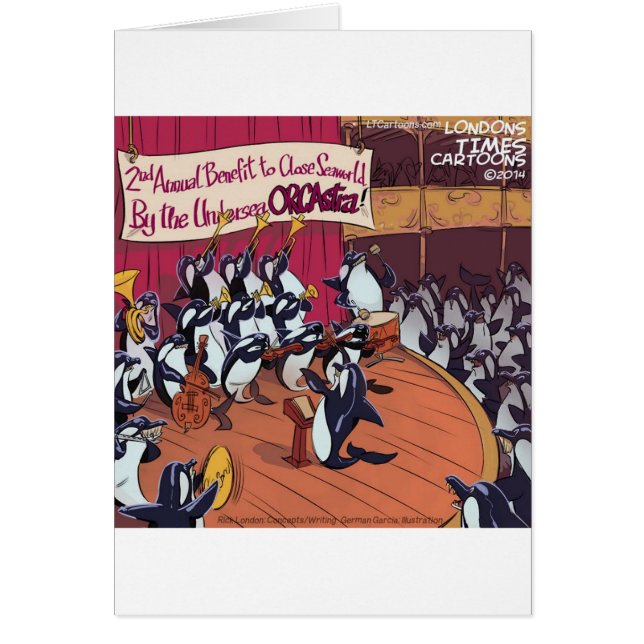Orca Orchestra Funny (Vorne)