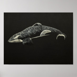 Orca Poster