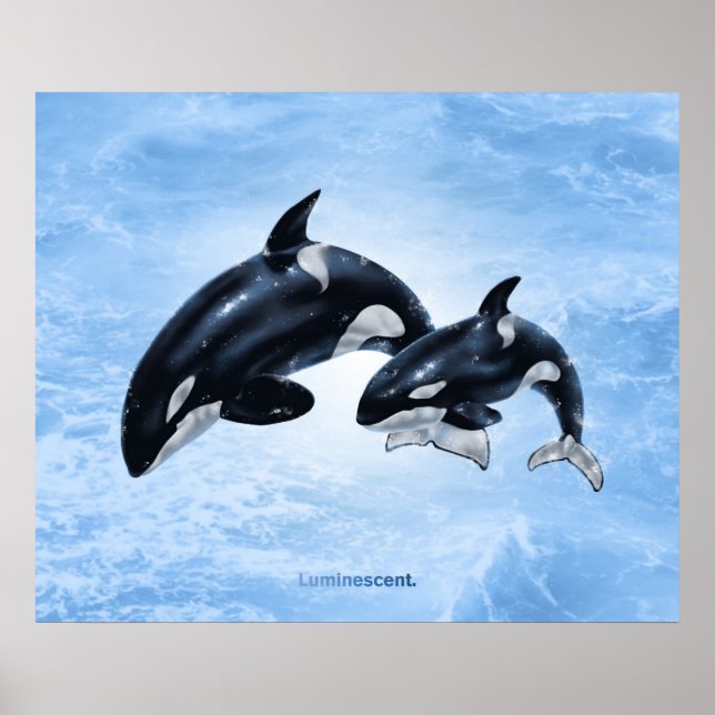 Orca - Poster (Vorne)