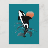 Orca