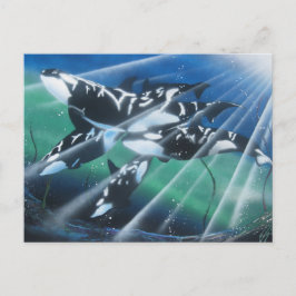 Orca Postkarte