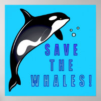 Orca: Rett die Wale!