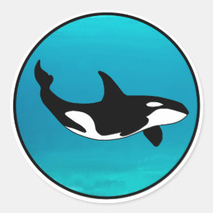 Orca Runder Aufkleber