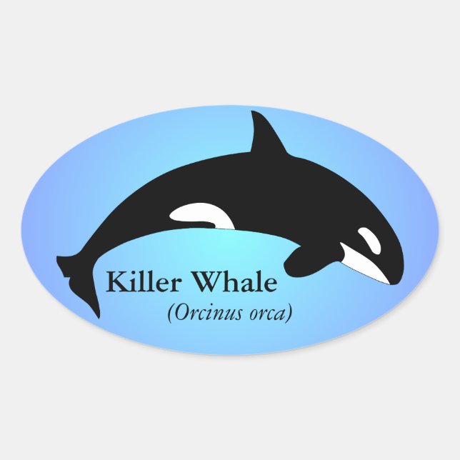 Orca-Schwertwal-Verlauf Blau Ovaler Aufkleber (Vorderseite)