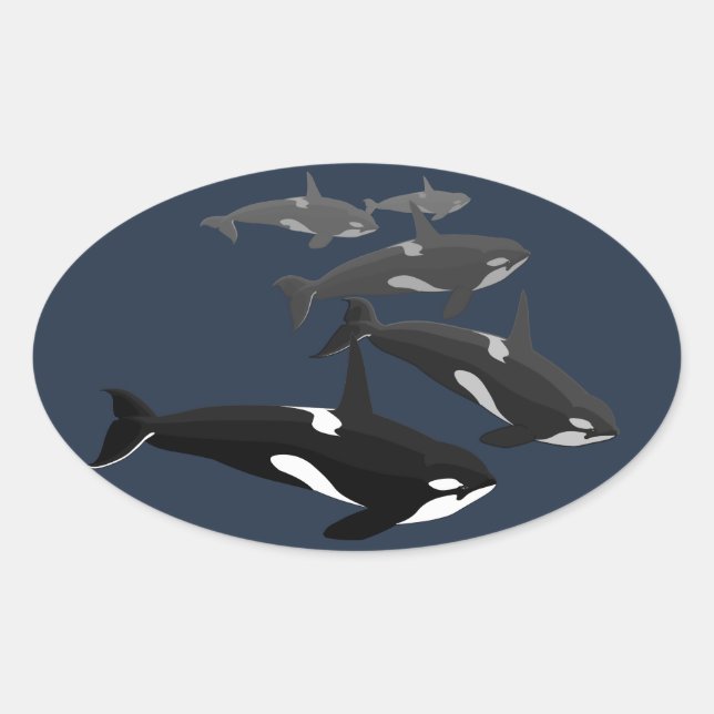 Orca Stickers Killer Whale Stickers (Vorderseite)