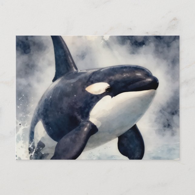 Orca Stormy waves Postkarte (Vorderseite)