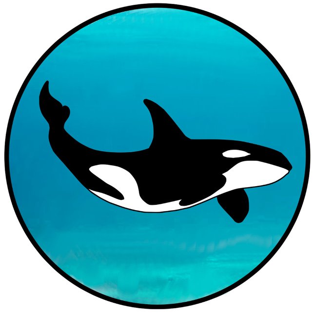 Orca T-Shirt (Von Creator hochgeladen)