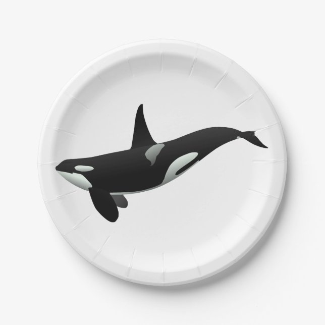 Orca Wal Illustration - Hintergrundfarbe auswählen Pappteller (Vorderseite)